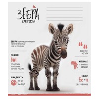 Зошит учнівський "Africa Animals" 012-3279K-5 в клітку, 12 аркушів