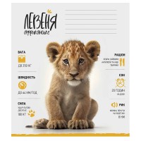 Зошит учнівський "Africa Animals" 012-3279K-1 в клітку, 12 аркушів