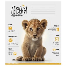 Тетрадь ученическая "Africa Animals" 012-3279K-1 в клетку, 12 листов