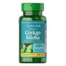 Ginkgo Biloba Standardized Extract 60mg - 120caps