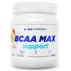 BCAA Max Support - 500g Tropical