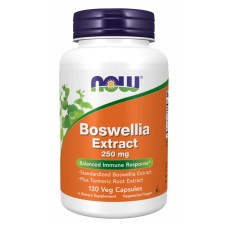 Boswellia Extract 250 mg - 120 vcaps