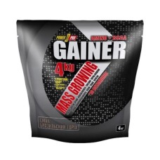 Gainer - 4000g Brazil Nut