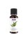 Eucalyptus Globulus Oil - 30ml (1fl.oz)