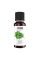 Basil Oil - 30ml (1fl.oz)