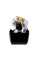 Система обратного осмоса MICRO CLASS 6A M.BLACK с помпой