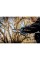 Аккумуляторная пила Metabo MS 18 LTX 15 в metaBOX 145 L без акб