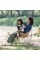 Стілець складаний Naturehike Stellaluna T01 CNH23JU13002, L, бежевий