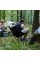 Стілець складаний Naturehike Stellaluna L04 CNK2450JJ015, розмір M, алюміній, чорний