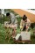 Туристичний холодильник Naturehike CNK2300BS011, 13 л, бежевий