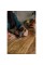 Work Sharp Точилка механічна Rolling Knife Sharpener WSKTNRKS-I