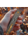 Ніж складаний Ruike P878-AK