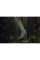 Шкарпетки Dexshell Terrain Walking 2.0 Socks, хакі, розмір L (43-46)