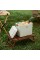 Туристичний холодильник Naturehike CNK2300BS011, 13 л, бежевий