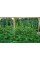 Сітка шпалерна 15*17"AgroStar"1.7*10 м (30 шт/ящ)