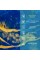 Вологопоглинаючий килимок 50*80CM*3MM (D) SW-00002541