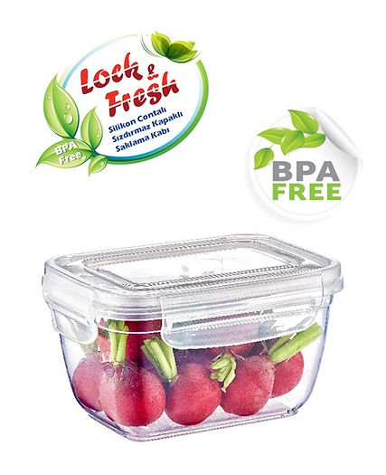Контейнер харчовий Dunya Plastik Fresh Box прямокутний з кришкою 550 мл