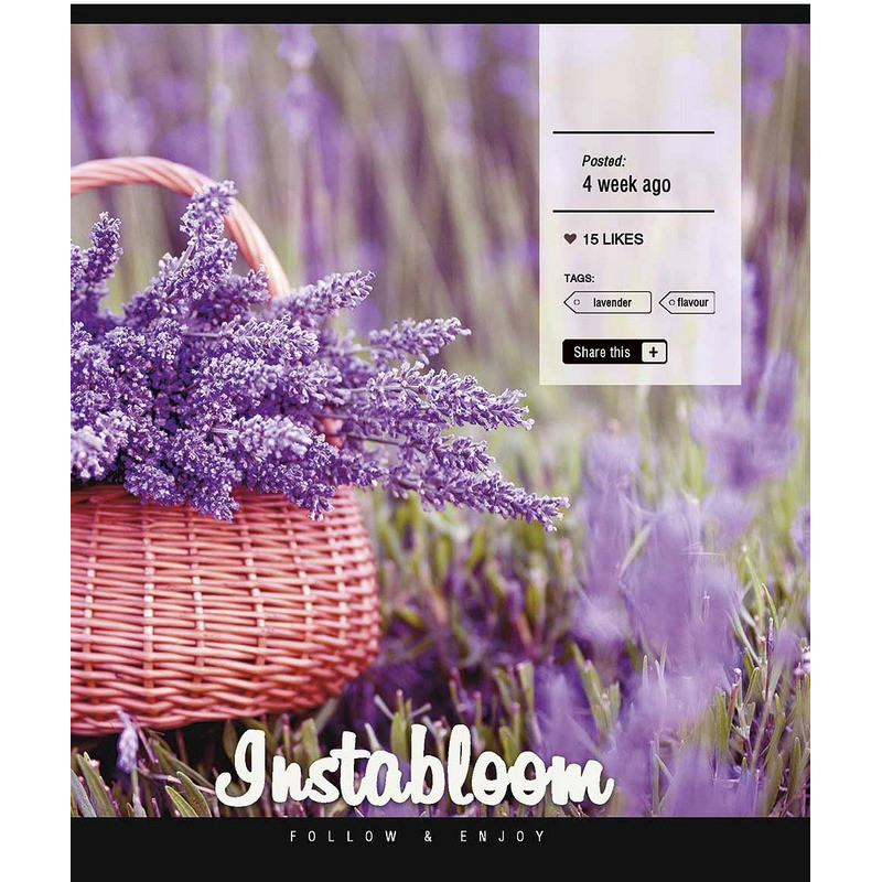 Зошит загальний "Insta life" 096-3389K-5 в клітку, 96 аркушів