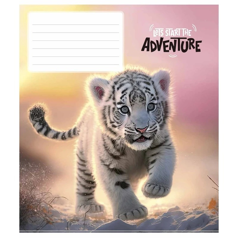 Зошит учнівський "Adventure" 018-3291K-5 в клітку, 18 аркушів